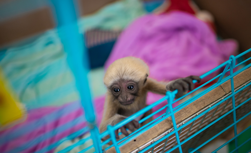 ȫ(gu)ϵº˹|üL(zhng)Գ