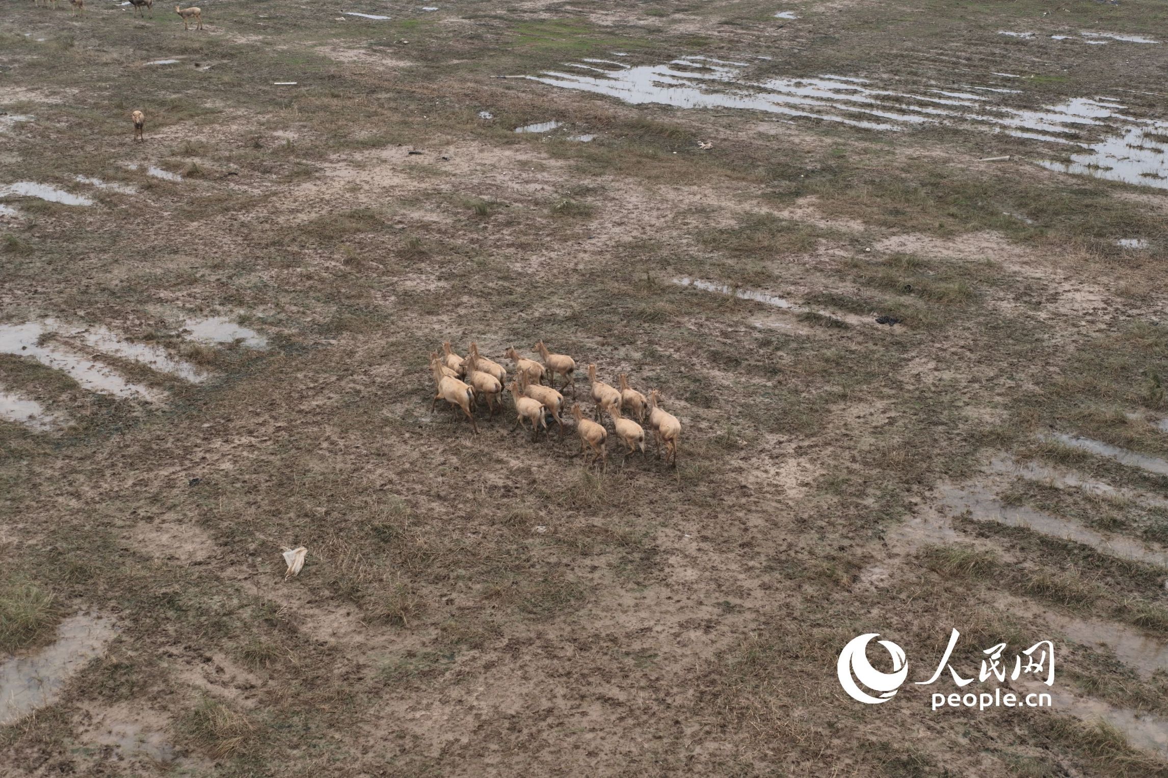 Ұ¹Ⱥo˙CƬW(wng)ӛ 옷z