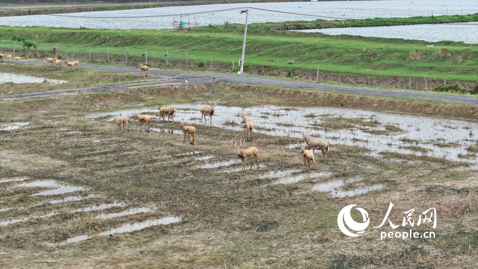 Ұ¹Ⱥo˙C(j)ƬW(wng)ӛ 옷z